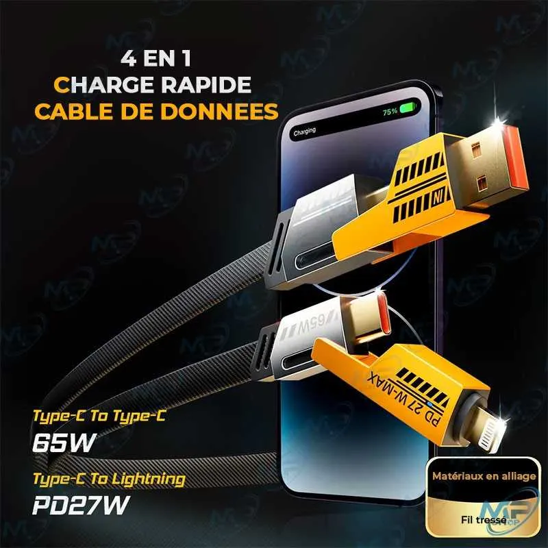 Câble Universel Ultime de Charge Rapide